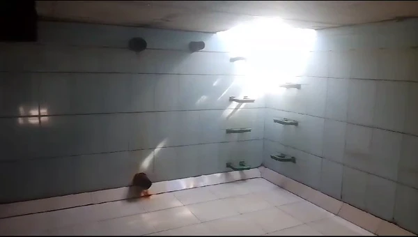 Mechanised Tank Cleaning After